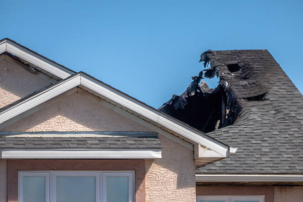 Licensed Content Restoration service in Englewood, NJ - Fire Damage Biloxi